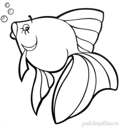Раскраска. Рыбка | Раскраски, Животные, Контурные рисунки